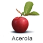 Tropische Früchte aus Brasilien. Acerola, Fruteiro do Brasil, Partner der GroßHandel EIS GmbH