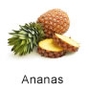 Tropische Früchte aus Brasilien. Ananas, Fruteiro do Brasil, Partner der GroßHandel Eis GmbH