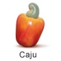 Tropische Früchte aus Brasilien. Caju, Fruteiro do Brasil, Partner der GroßHandel Eis GmbH