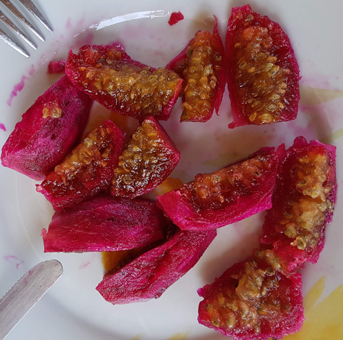 Eis - Gelati Kaktusfeige als Eis und Variegato. Rote Kaktusfeige auf dem Teller. Superfood