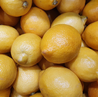 Eis Pronto Zitrone. Pulvermischung für die Herstellung von Speiseeis mit dem Geschmack nach Zitrone
