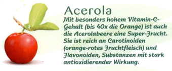 Acerola Bild: Fruteiro do Brasil, Partner der GroßHandel EIS GmbH