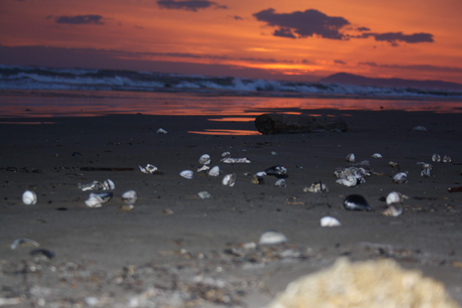 Strandspaziergang Rimini 17.1.2015 / 7.15 Uhr. Vor der Sigep Spezialmesse für Speiseeis. Foto Gerhard Hager. GroßHandel EIS GmbH