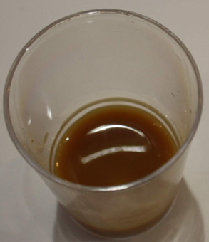 Ingwersaft in Tetrapack. Für Speiseeis und Konditoreierzeugnisse bei GroßHandel Eis GmbH
