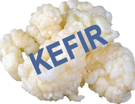 Kefir. Speiseeis für viele Kombinationen geeignet. Eis & Gelati
