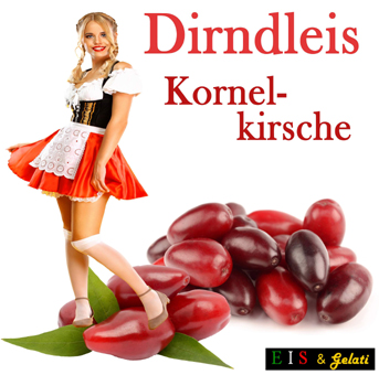 Dirndleis. Eis & Gelati. Eis aus 100% Fruchtpulpen. GroßHandel Eis GmbH